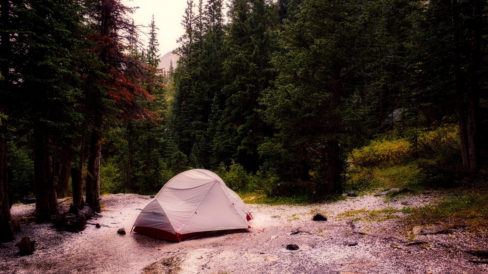 Camping in Buena Vista Colorado