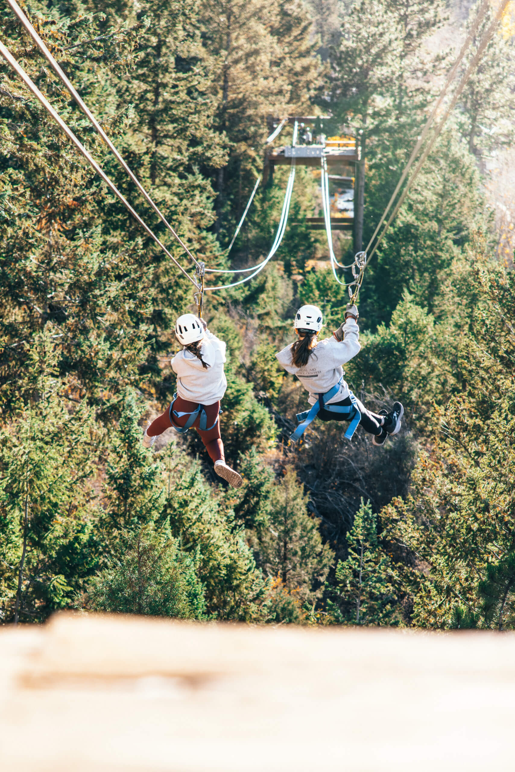zipline through trees- Idaho Springs