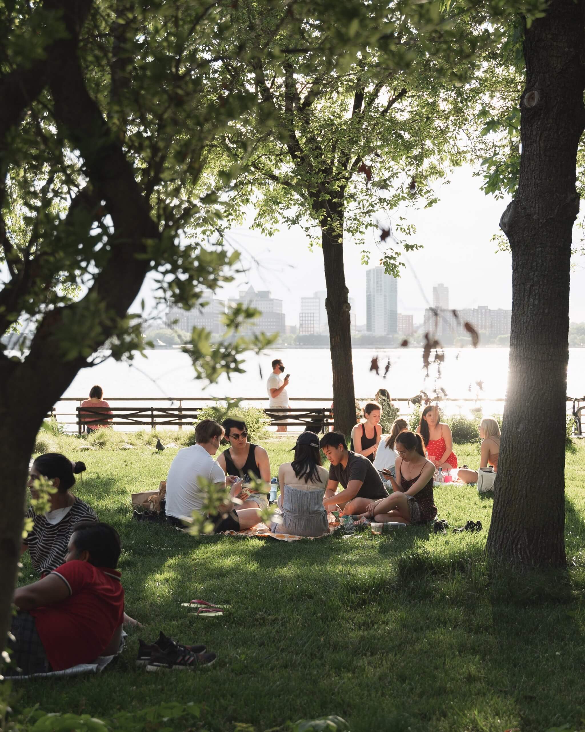 Picnic in one of Denver's parks