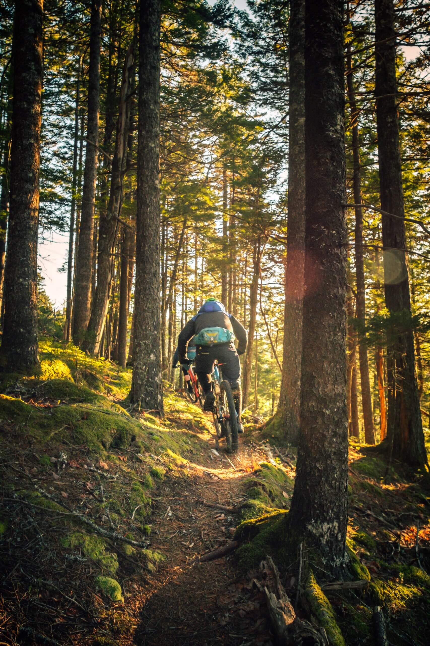 mountain biking trail