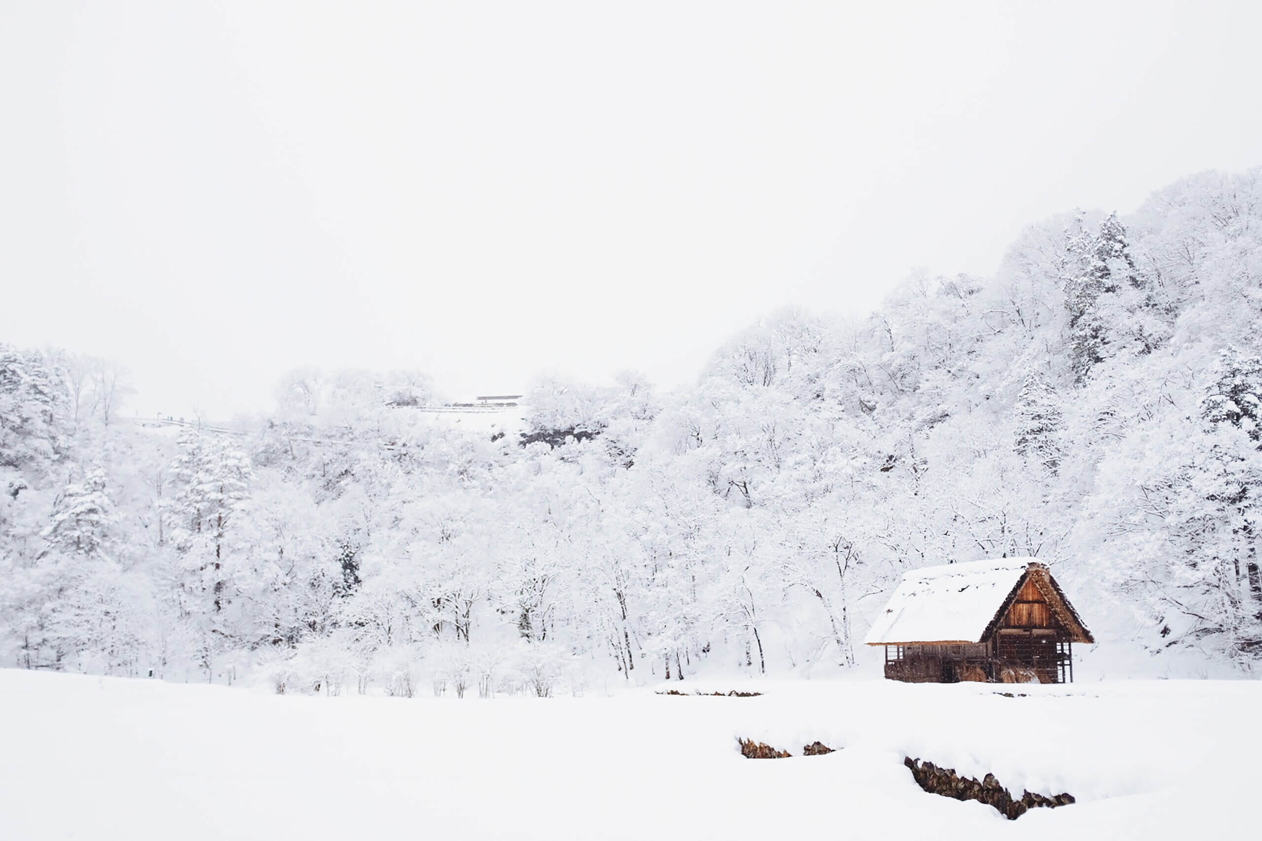 Small cabin in winter wonderland